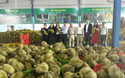 ベトナム 有名メディアにて表敬訪問の様子を報道される〜バオラム県〜