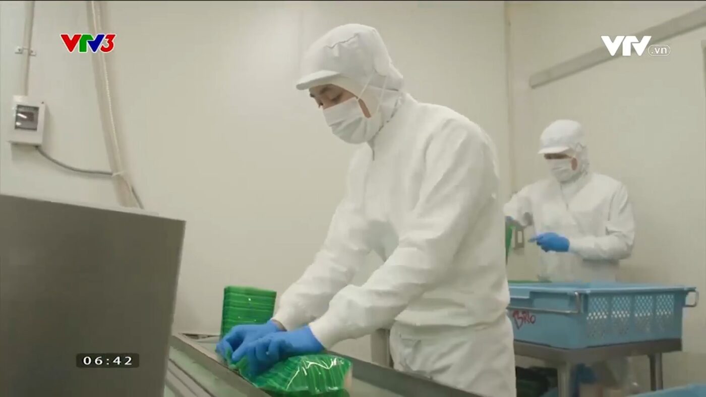 MORISHOの役割と貢献