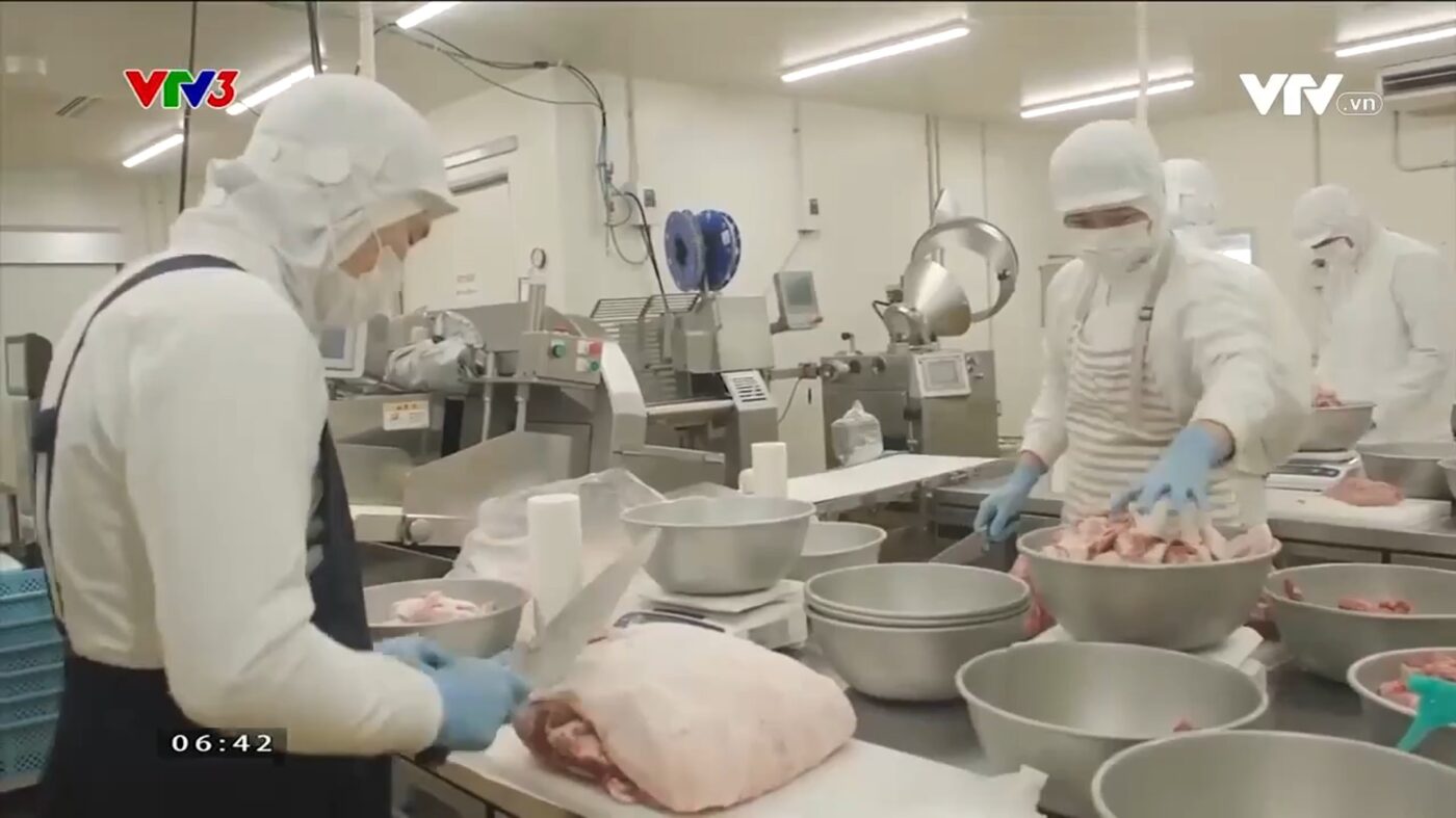 VIETNAMDELIの成功と展望